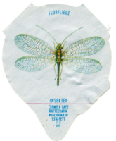 INSEKTEN 10