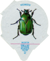 INSEKTEN 11