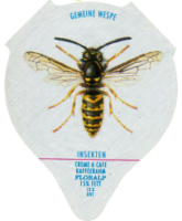 INSEKTEN 13