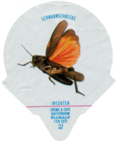 INSEKTEN 14