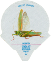 INSEKTEN 15