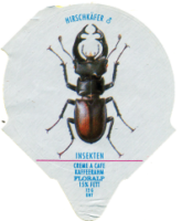 INSEKTEN 16