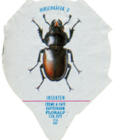 INSEKTEN 17