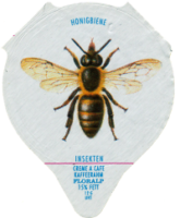 INSEKTEN 18