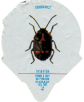 INSEKTEN 20