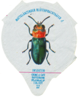 INSEKTEN 21