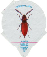 INSEKTEN 22
