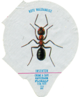 INSEKTEN 24