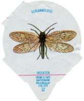 INSEKTEN 25