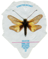 INSEKTEN 26