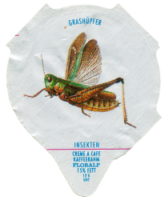 INSEKTEN 27
