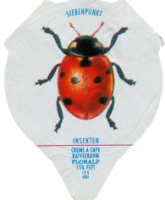 INSEKTEN 28