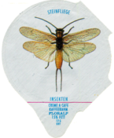 INSEKTEN 29