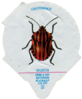 INSEKTEN 30