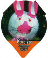 KÜRBISSE 1311 B 18