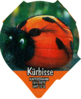 KÜRBISSE 1311 B 19