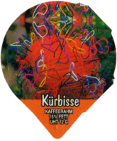 KÜRBISSE 1311 B 20
