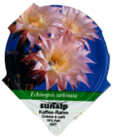 SUNALP KAKTEEN 1300 10