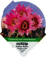 SUNALP KAKTEEN 1300 11