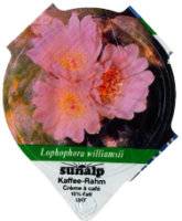 SUNALP KAKTEEN 1300 18
