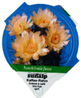 SUNALP KAKTEEN 1300 19