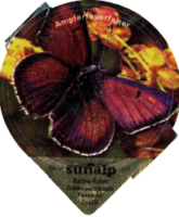 SUNALP SCHMETTERLINGE 8 B 02