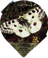 SUNALP SCHMETTERLINGE 8 B 03