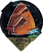SUNALP SCHMETTERLINGE 8 B 05