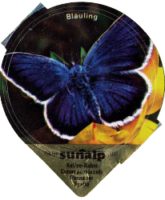 SUNALP SCHMETTERLINGE 8 B 06