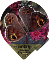 SUNALP SCHMETTERLINGE 8 B 07