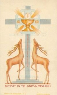 A.P.19 (com) A.P.19 (com)
