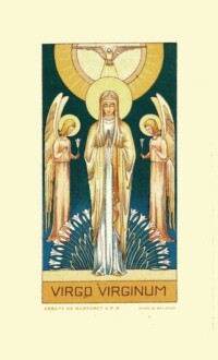 A.P.6 A.P.6